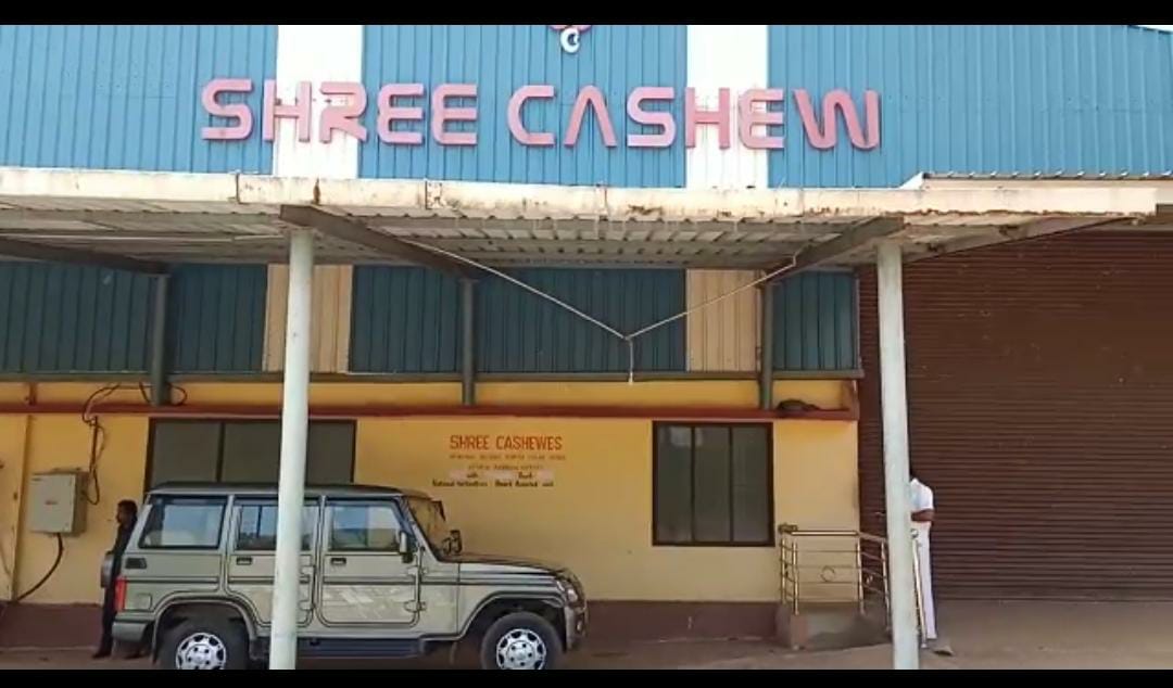 SHREE CASHEW